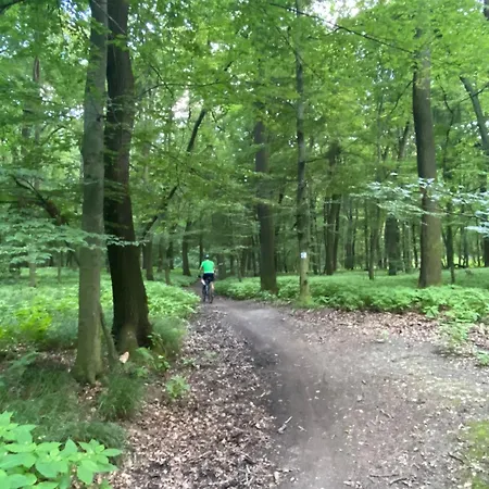 Rosemary Apartament *