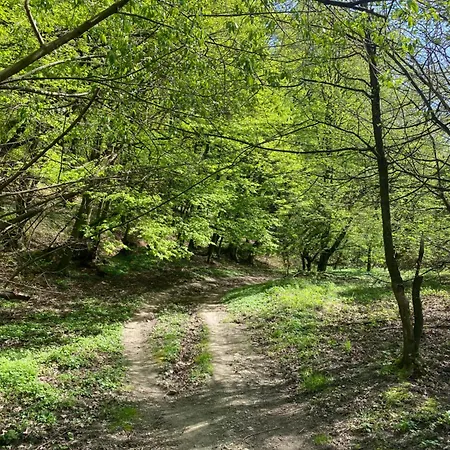 Rosemary * ברטיסלאבה