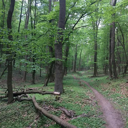 Rosemary Appartement *