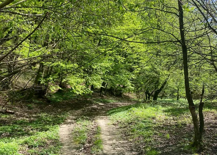 Rosemary * براتسيلافا